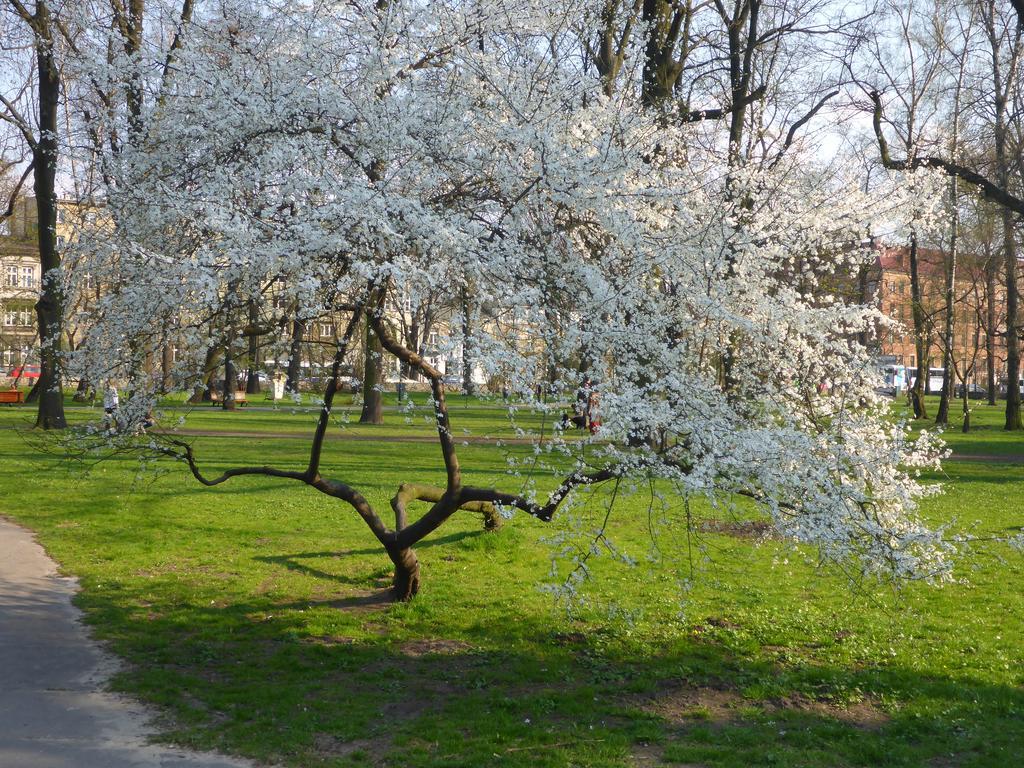 Garden Apartment Krakkó Kültér fotó